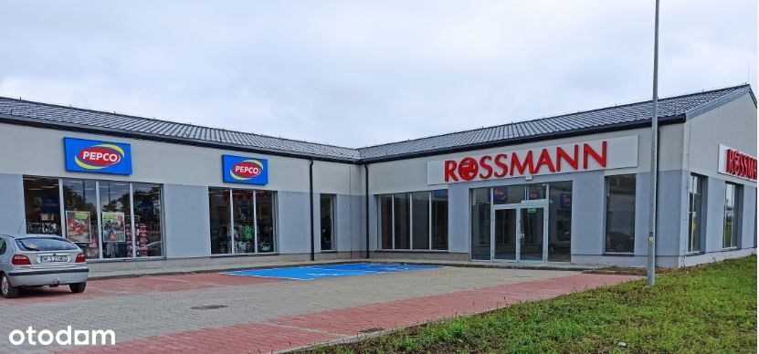 Rossmann, Pepco, stabilny zysk, bezpośrednio