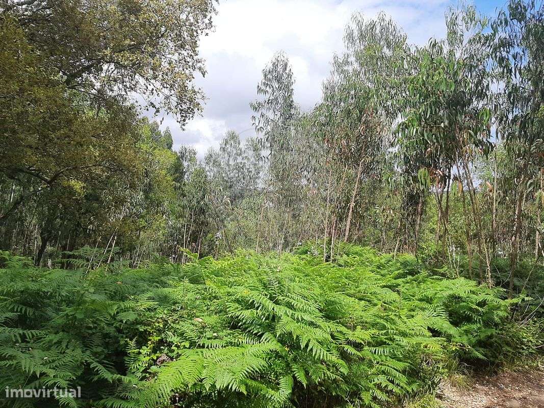 Terreno  para venda - Grande imagem: 5/7