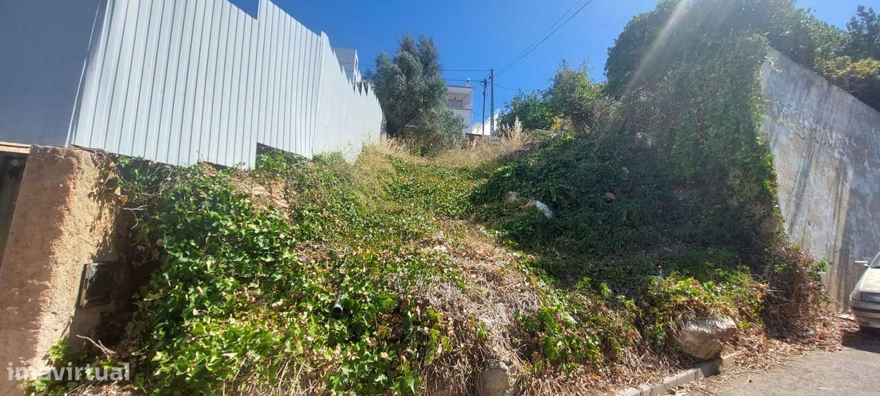 Terreno Urbano - Grande imagem: 4/15