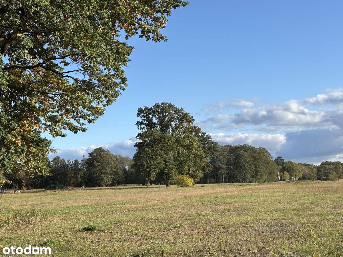 4 km z P. Kampinos,  MPZP budowlana, nie  - na osiedlu małych działek - Pełny obrazek: 4/6
