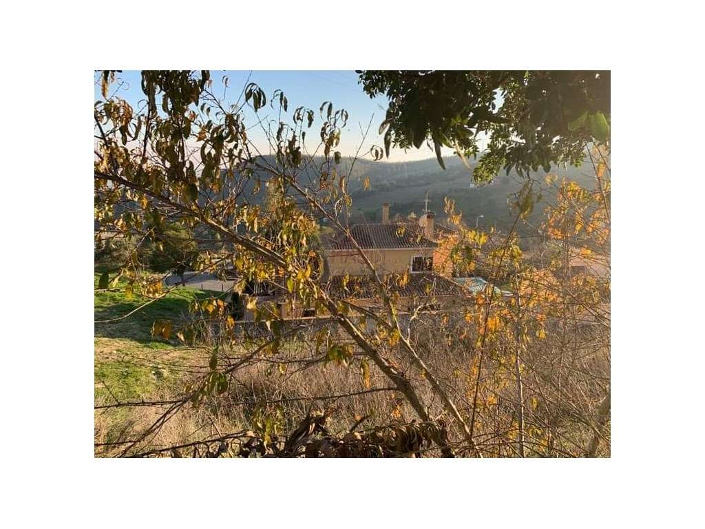 Excelente Terreno Vila Franca de Xira - Grande imagem: 4/6