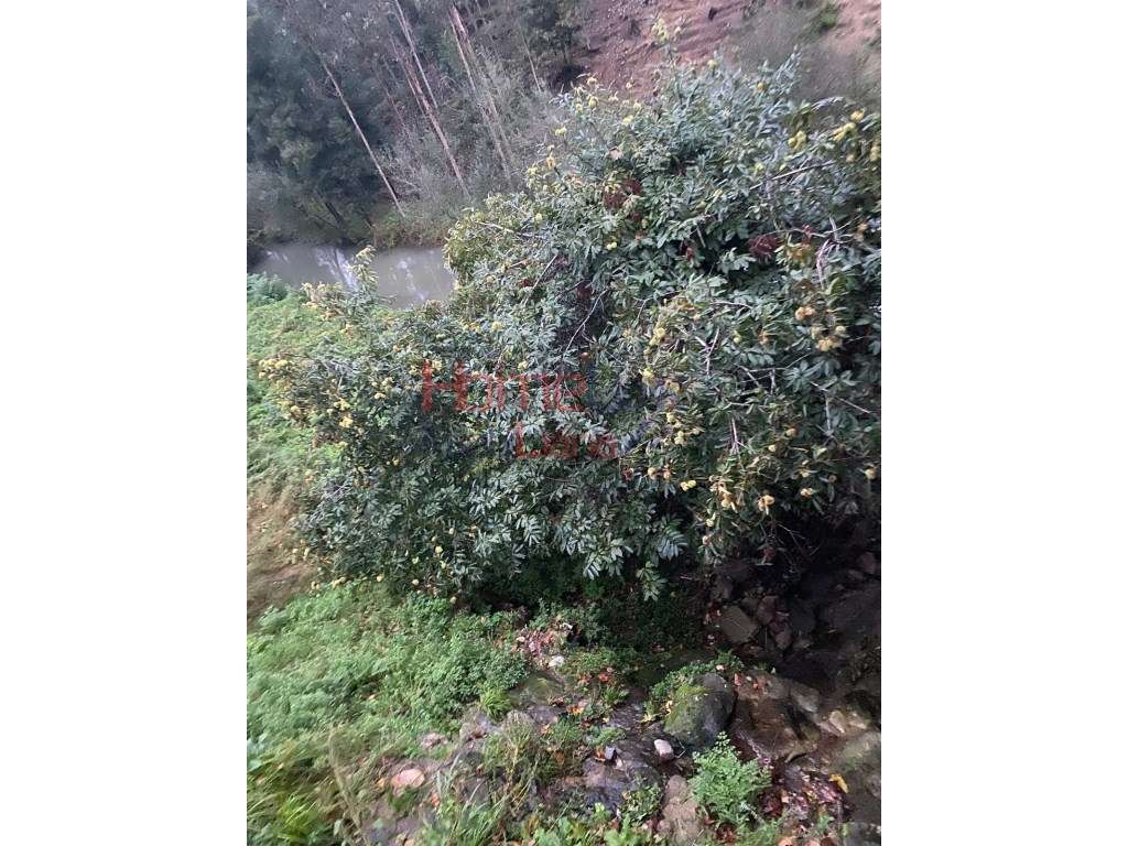 Terreno Rústico - Grande imagem: 4/9