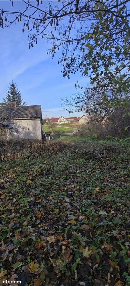 Sprzedam Dom do Remontu   na dużej 33 arowej Budowlanej działce-13