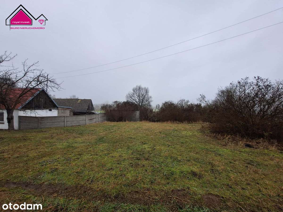 Działka z lasem - zabudowania w cenie gruntu-10