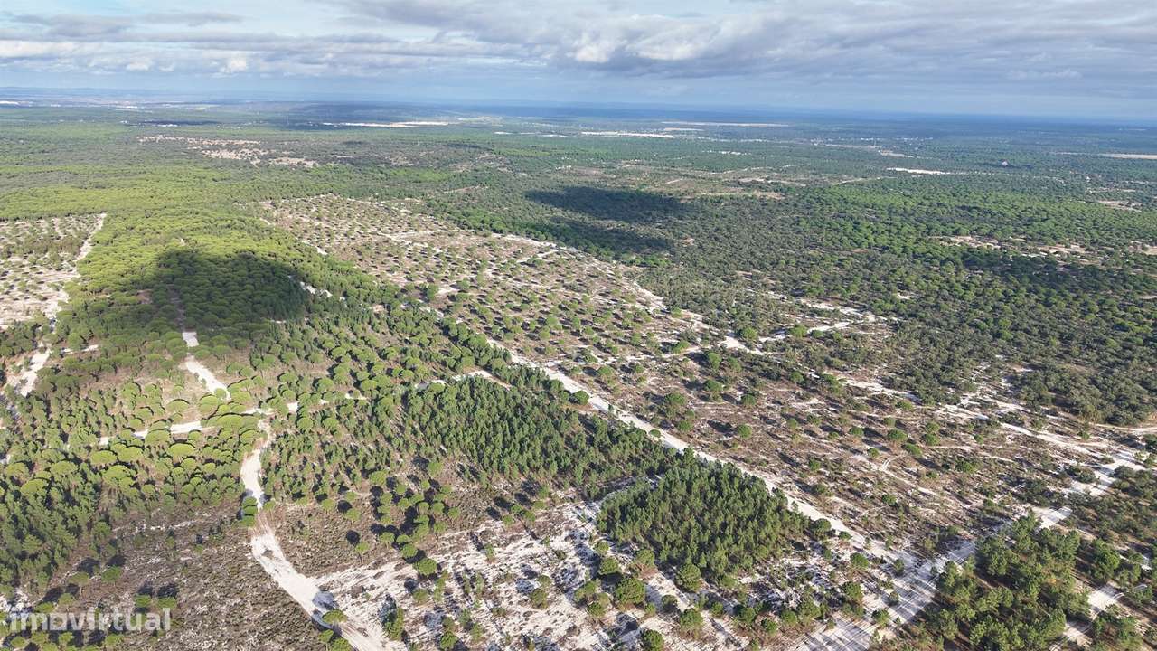 Terreno agrícola em Grândola - Grande imagem: 2/27