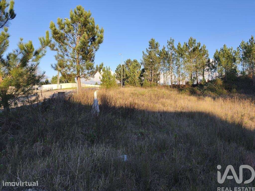 Terreno para construção em Ansião - Grande imagem: 5/14