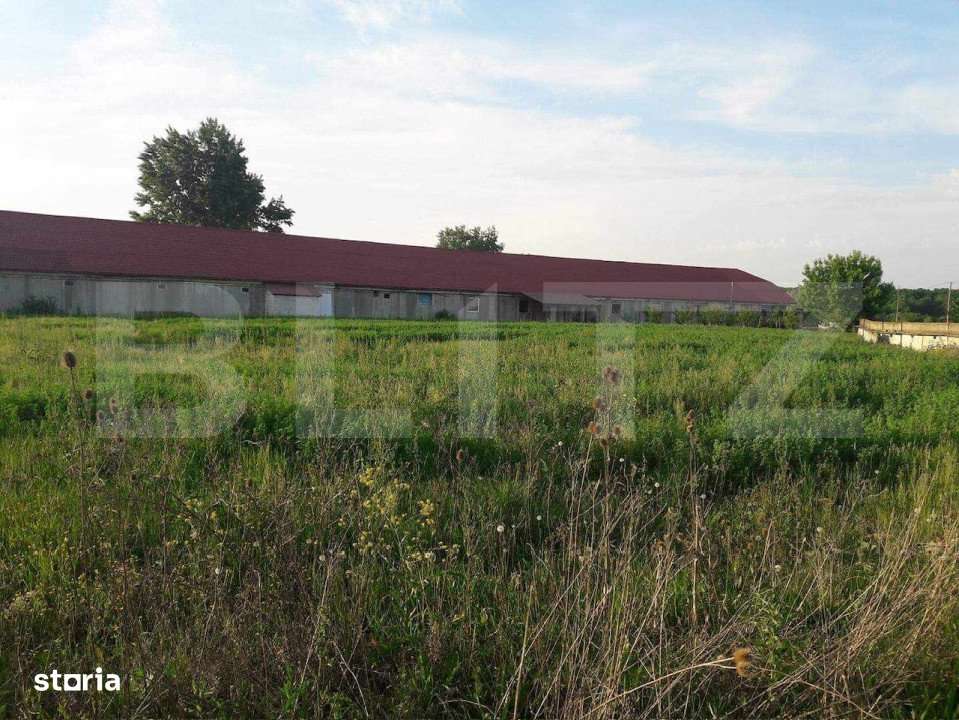 De vanzare afacere /hala , 1200mp , zona  Botiz - Imagine principală: 3/19