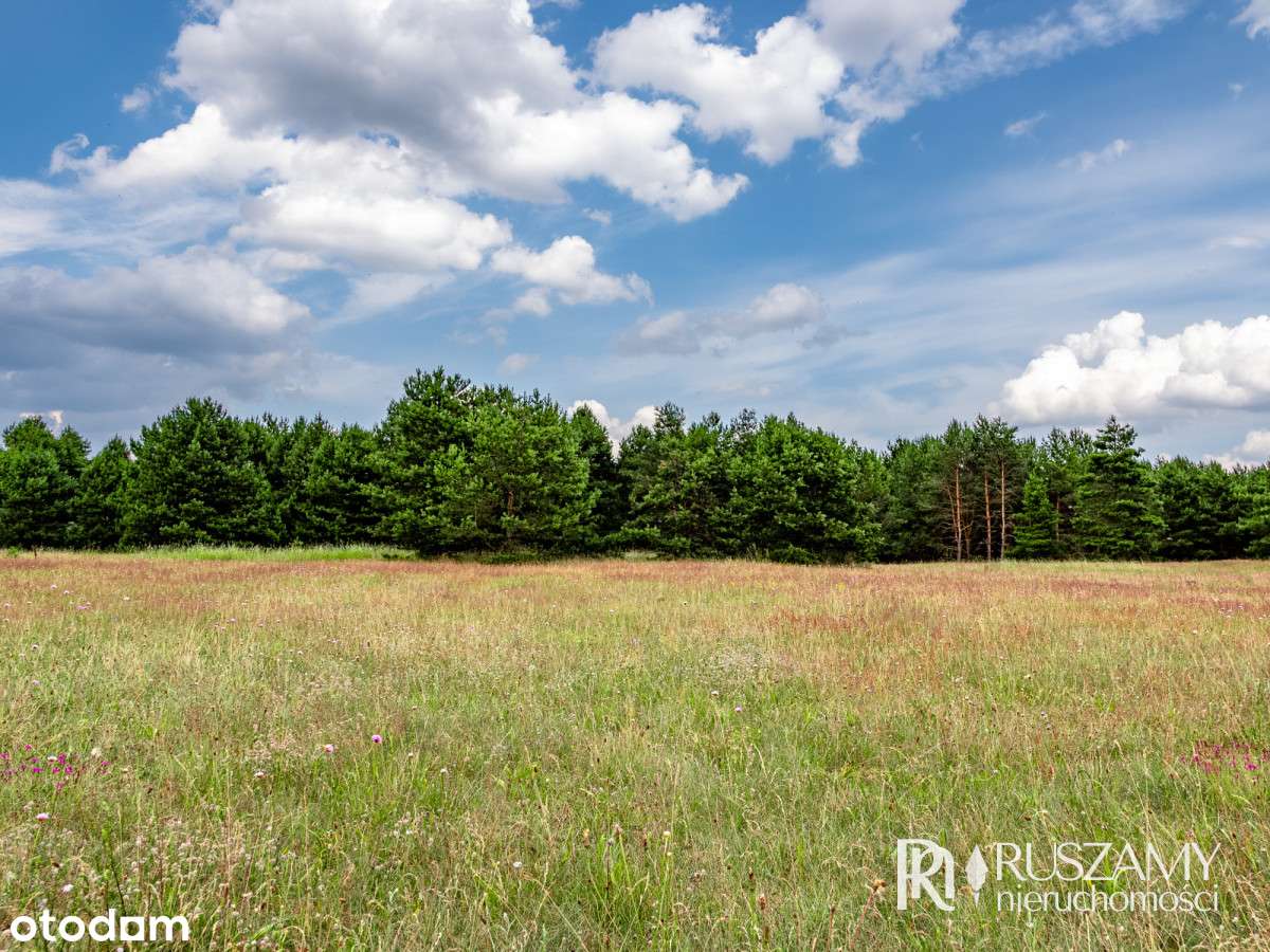 Bory Tucholskie - działki objęte Mpzp-9