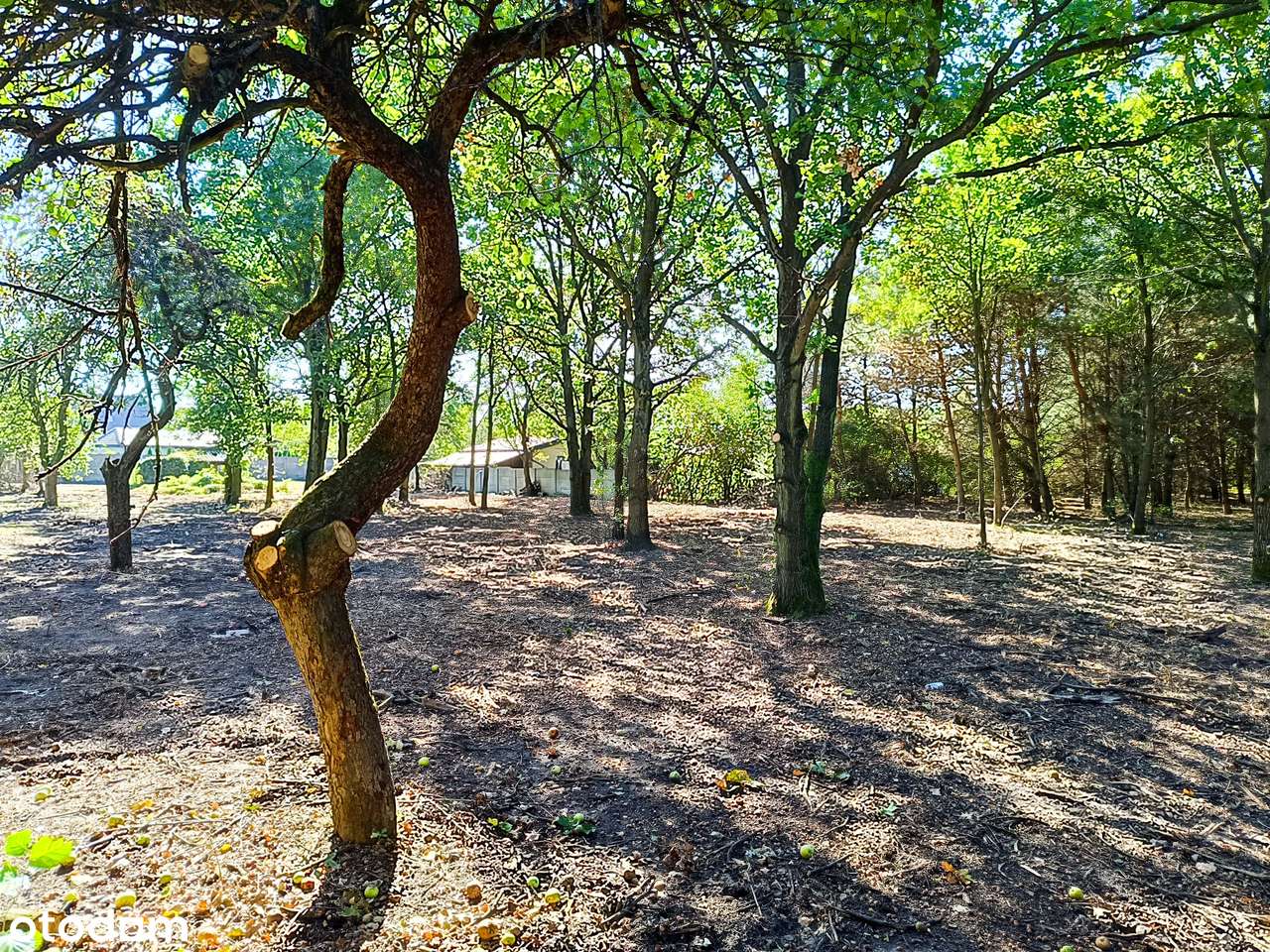 Nowoczesny Dom wolnostojący w centrum Mosiny brak prowizji-7