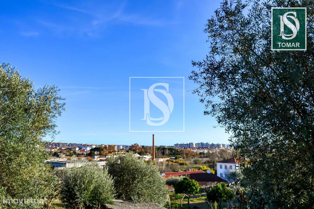 Terreno  Venda em Tomar (São João Baptista) e Santa Maria dos Olivais,-10