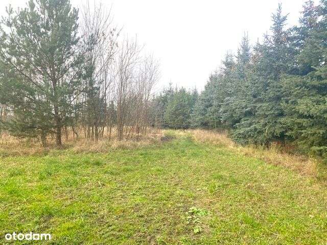 Działka blisko Leszna, | nowe osiedle | 768 mkw - Pełny obrazek: 4/4