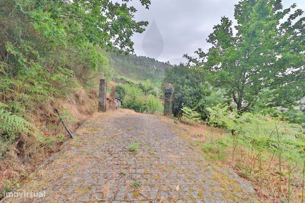 Duas Moradias em Escudeiros c/ aprox. 3.200m2 de terreno-6