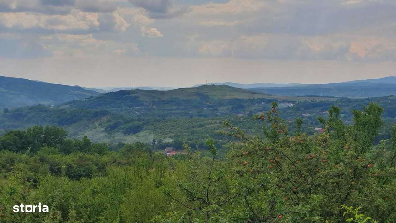 Teren de vanzare in Ogretin I Valenii de Munte I Prahova - Imagine principală: 4/6