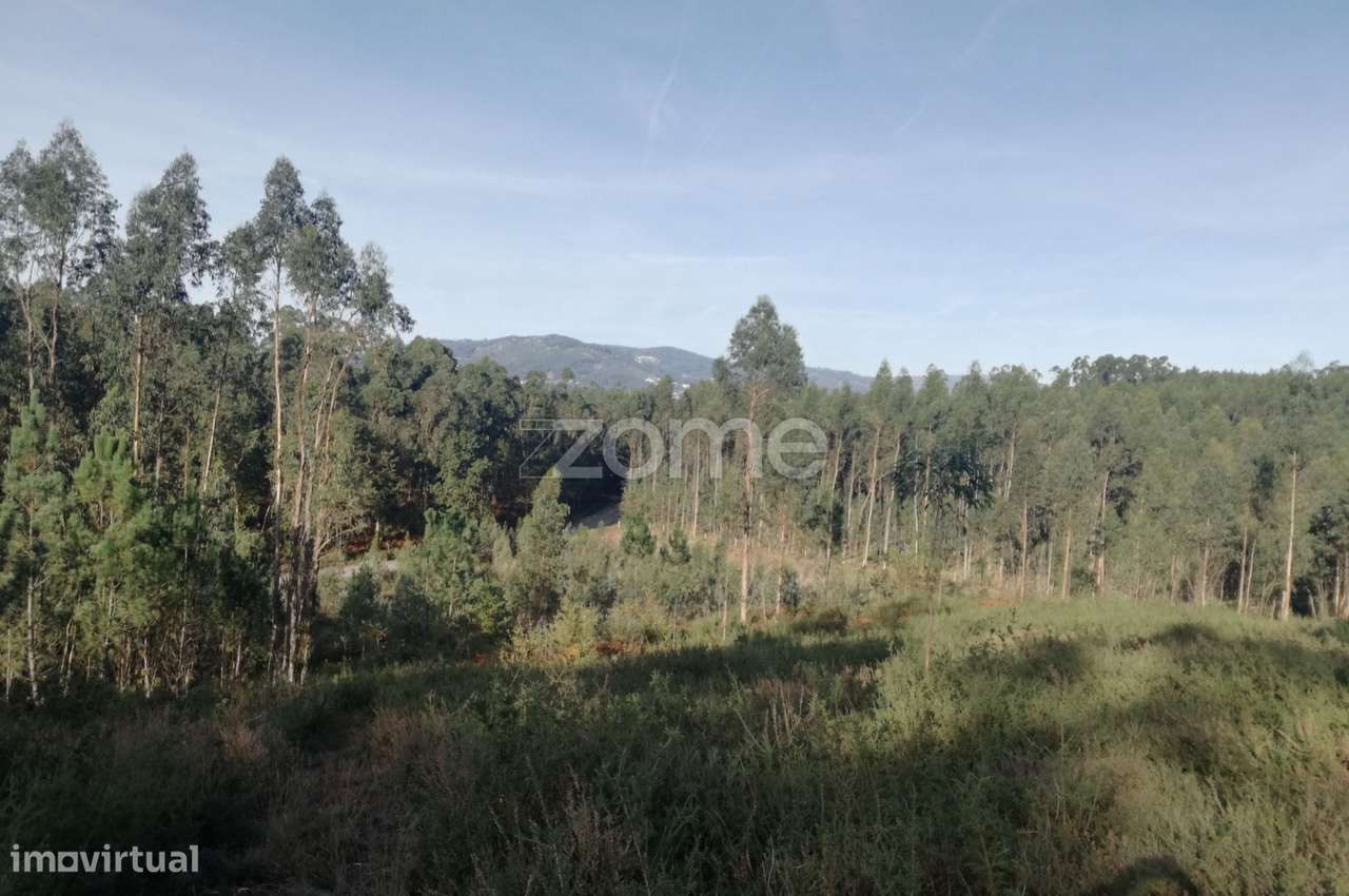 Terreno Rustico em Escariz São Martinho, Vila Verde - Grande imagem: 5/8