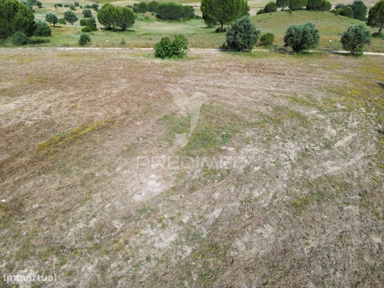 Terreno Rústico - Parceiros de Igreja, Torres Novas - Grande imagem: 4/22