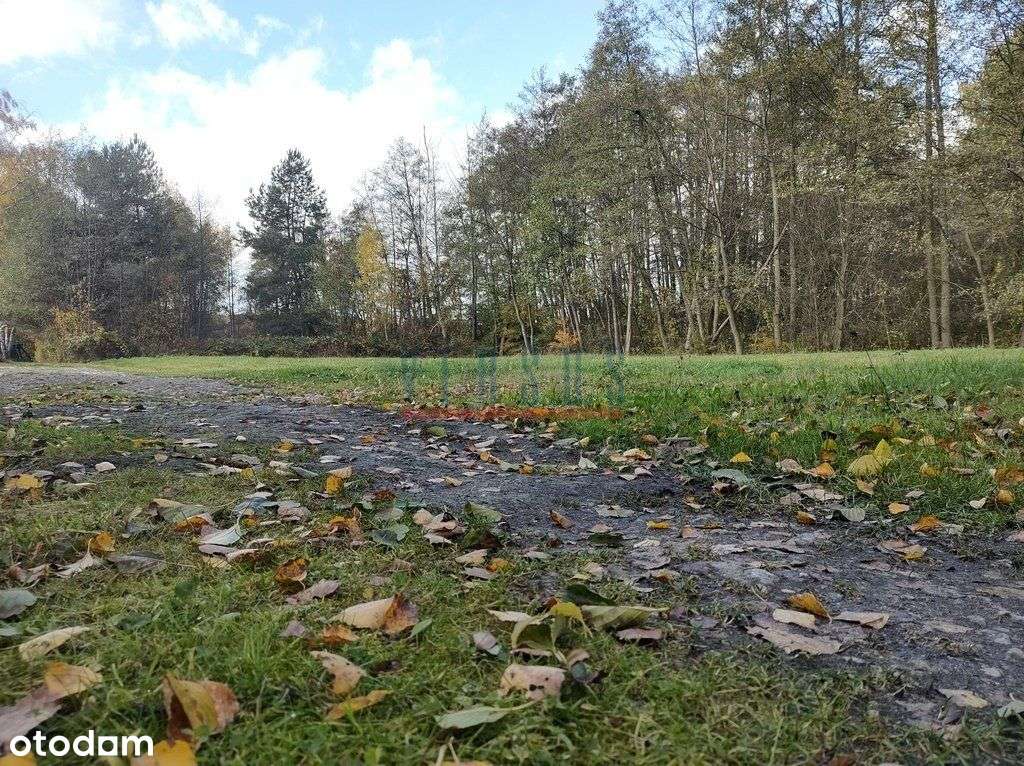 Umowa Na Wyłączność !!!-4