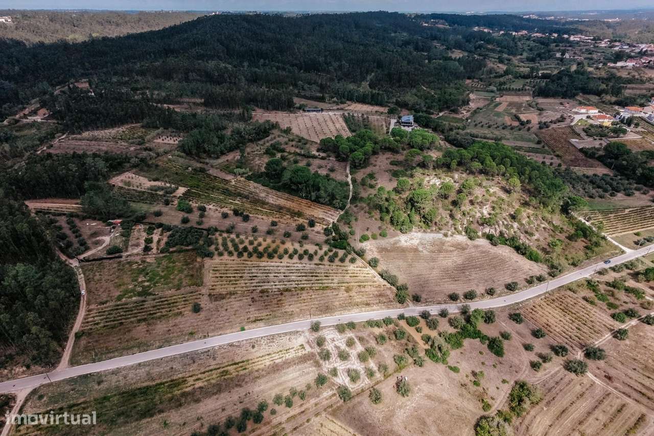 QUINTA COM 10 HA  E MORADIA CONTEMPORÂNEA  |  COIMBRA-43