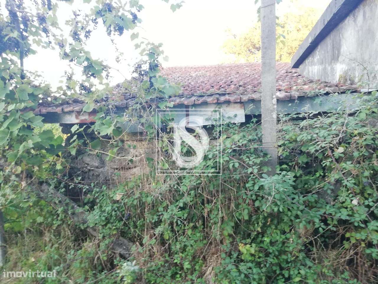 Moradia T2 para Restaurar com terreno,   em Serzedelo, Póvoa de Lanhos - Grande imagem: 3/9