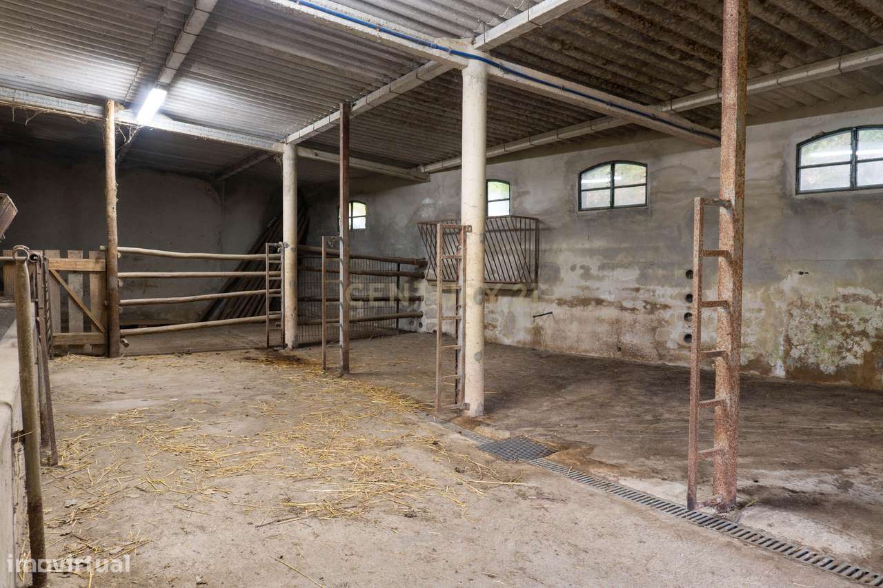 Quintinha em Alenquer com Excelente Potencial – 5,8 Hectares-14