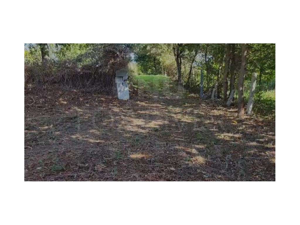 Terreno rústico na Silva, Valença - Grande imagem: 4/4
