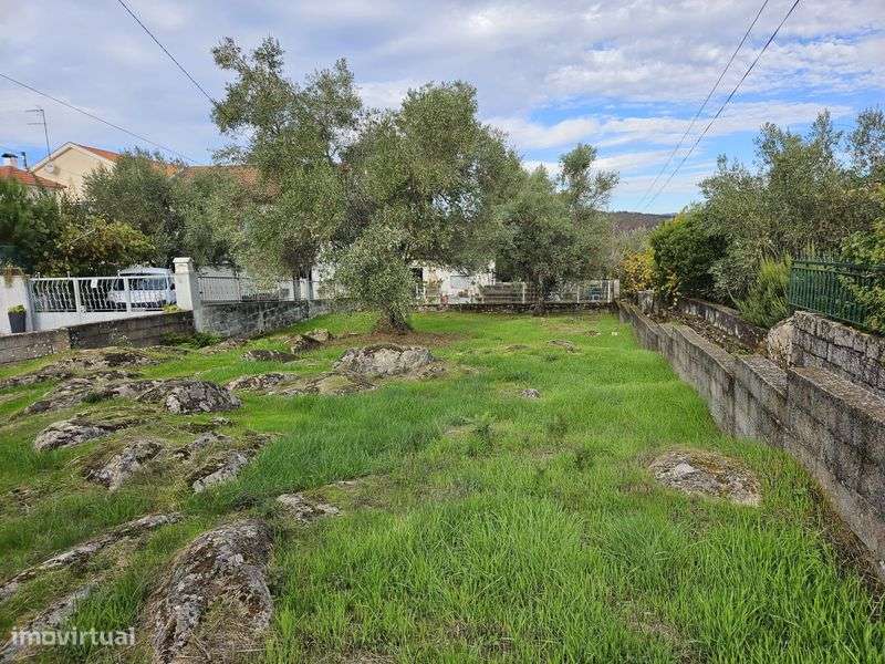 Lote para casa, jardim e quintal com canastro - Grande imagem: 5/10