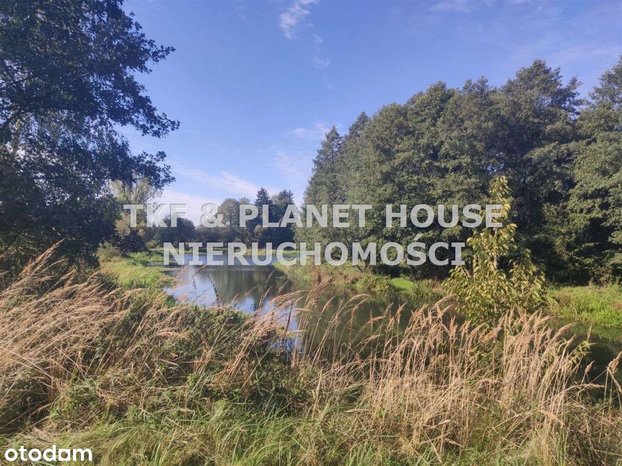 Działki na sprzedaż Giełzów gm. Drzewica - Pełny obrazek: 5/5