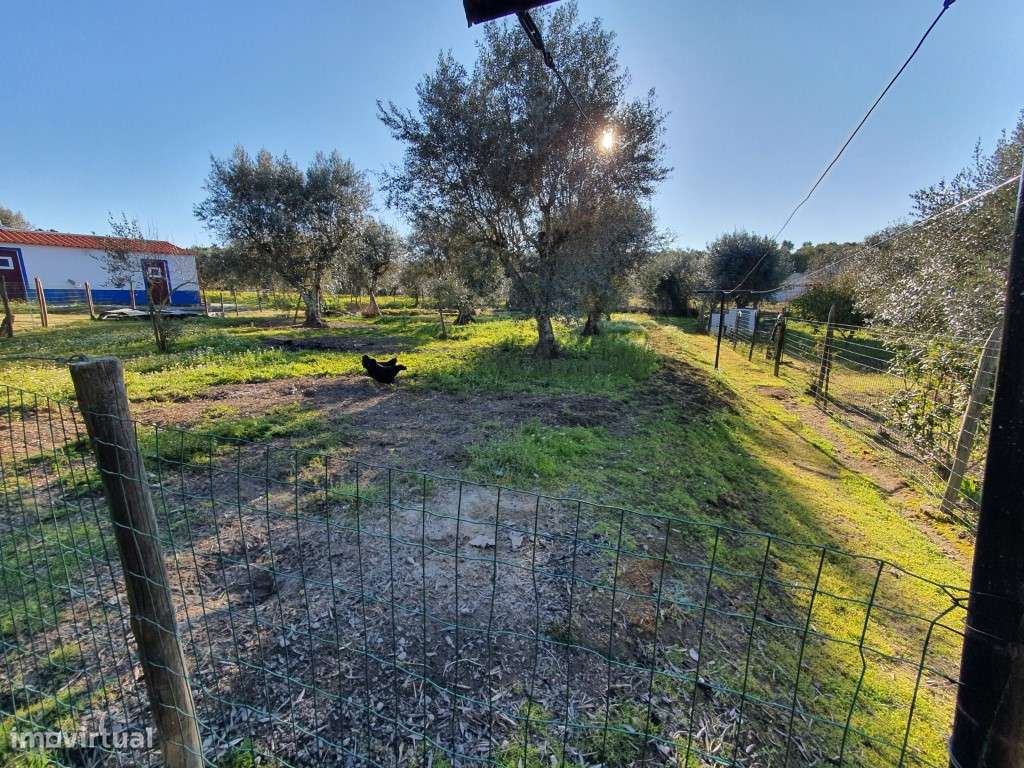 Monte Alentejano T2 com Anexo, perto de Évora monte. - Grande imagem: 5/32