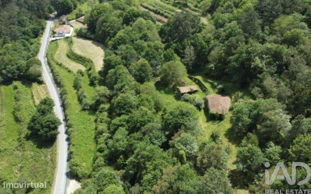 Quinta T9 em Covas de 380,00 m2 - Grande imagem: 5/22