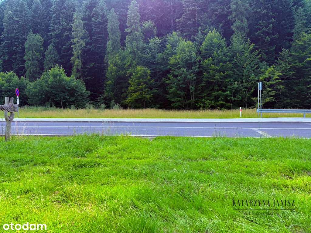 Działka z widokiem na Babią Górę-16