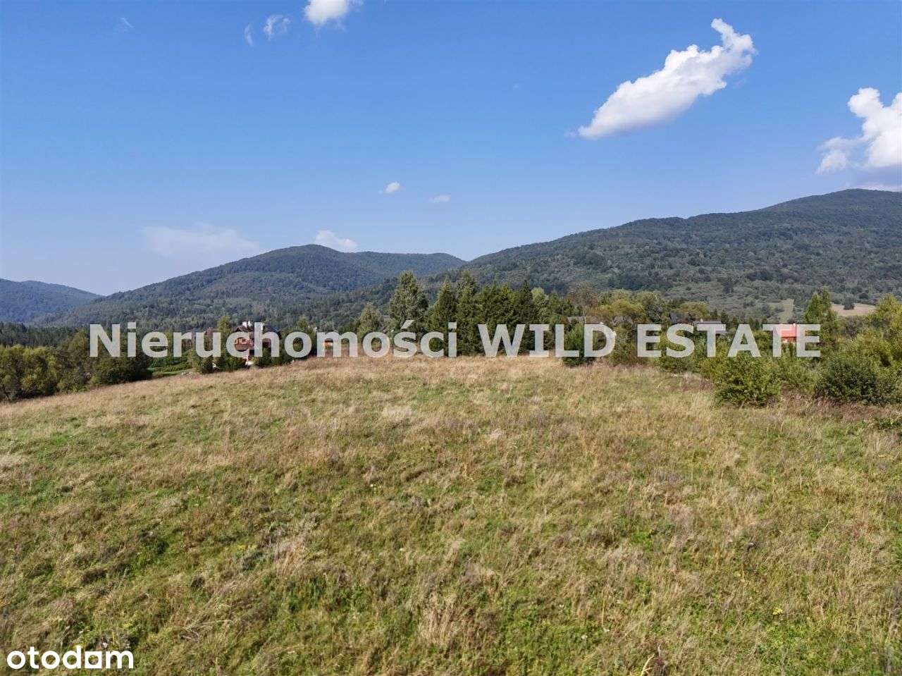 Działka, 6 701 m², Cisna - Pełny obrazek: 4/11