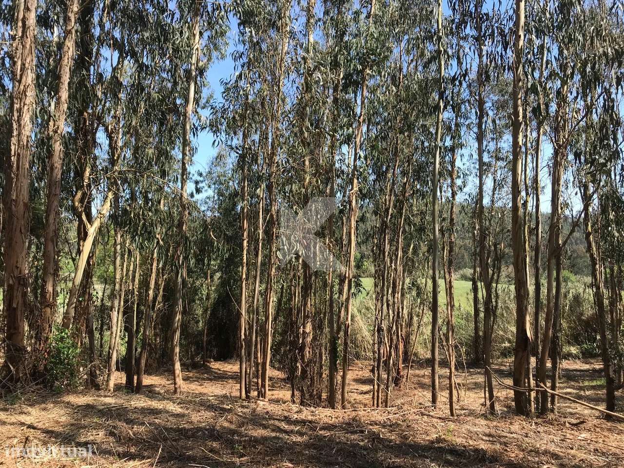 Moradia T7 em Coimbra para restaurar-9