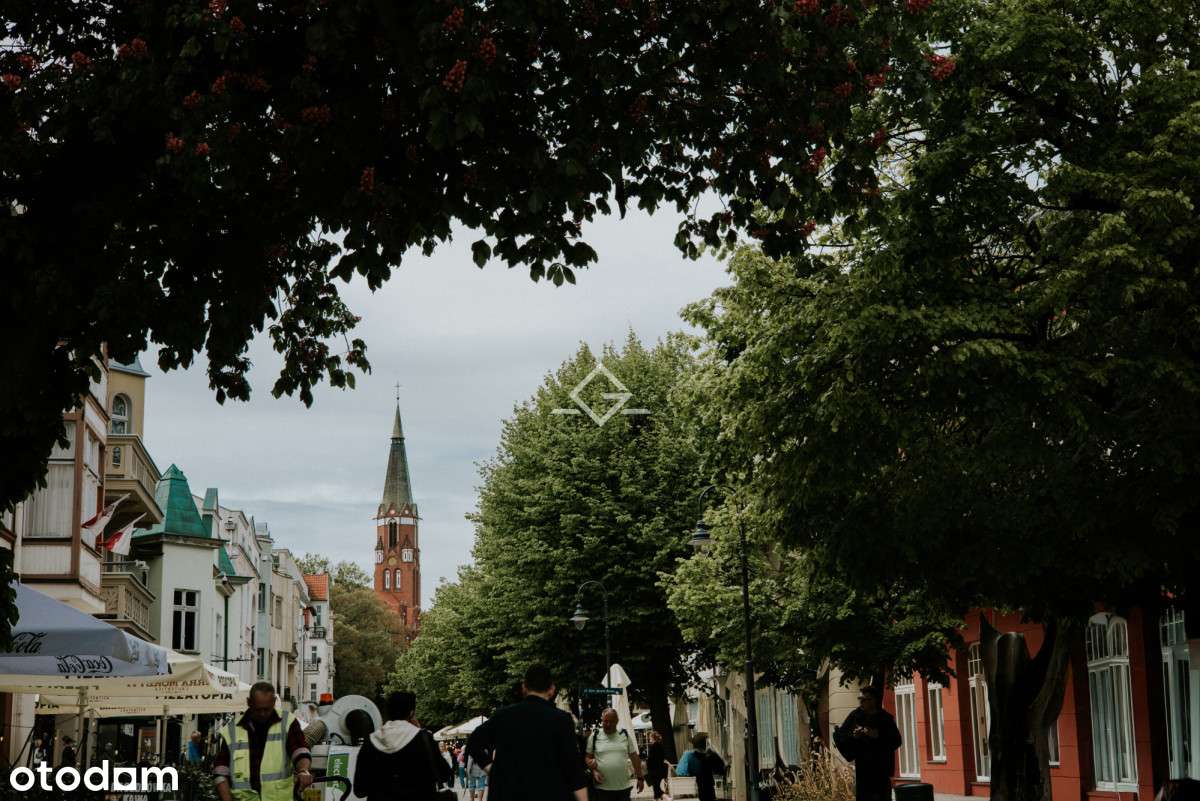 Potencjał inwestycyjny na Monte Cassino - Pełny obrazek: 3/6