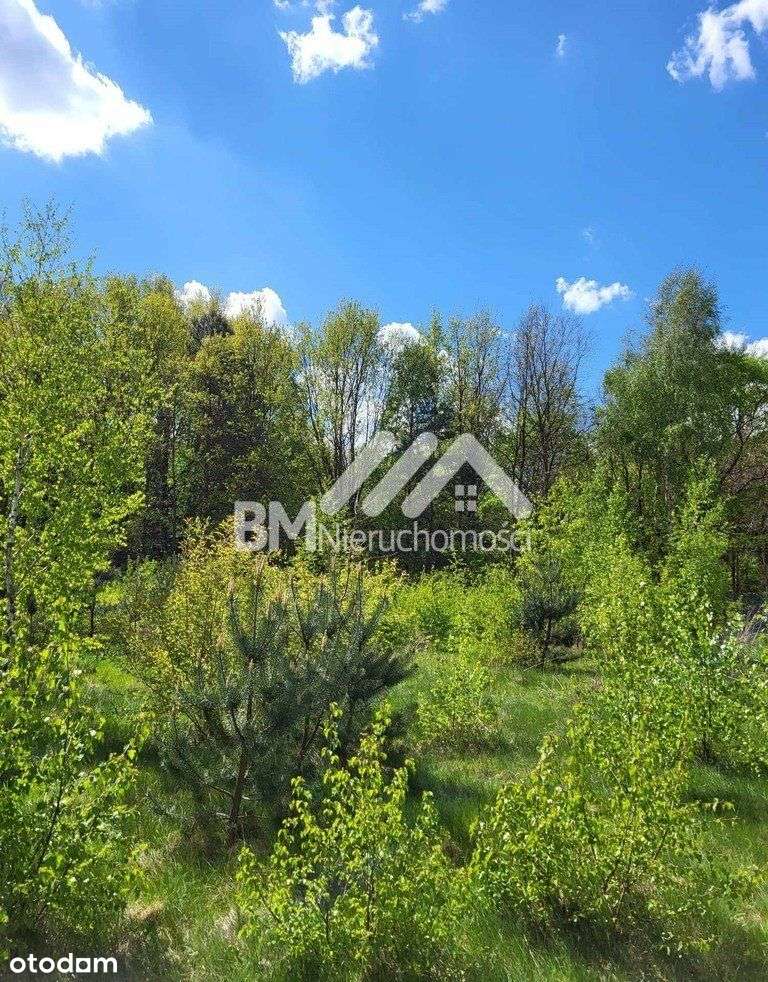 Owczarnia, Wkd 1,5 km-2