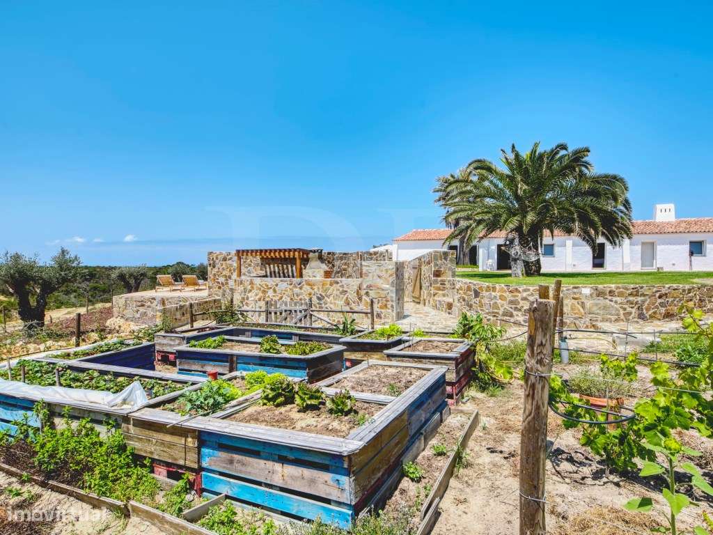 Ocean Farm - Propriedade única na Costa Vicentina a 350 metros do o...-34