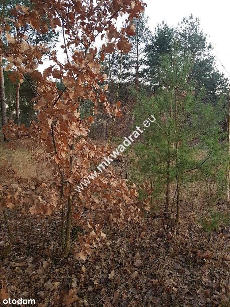 SuPeR Działka budowlana 1053 m² prostokątna, media-9