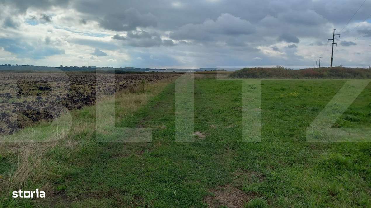 Blitz propune spre vanzare teren extravilan in Jucu 2877mp, front 15 m - Imagine principală: 3/3