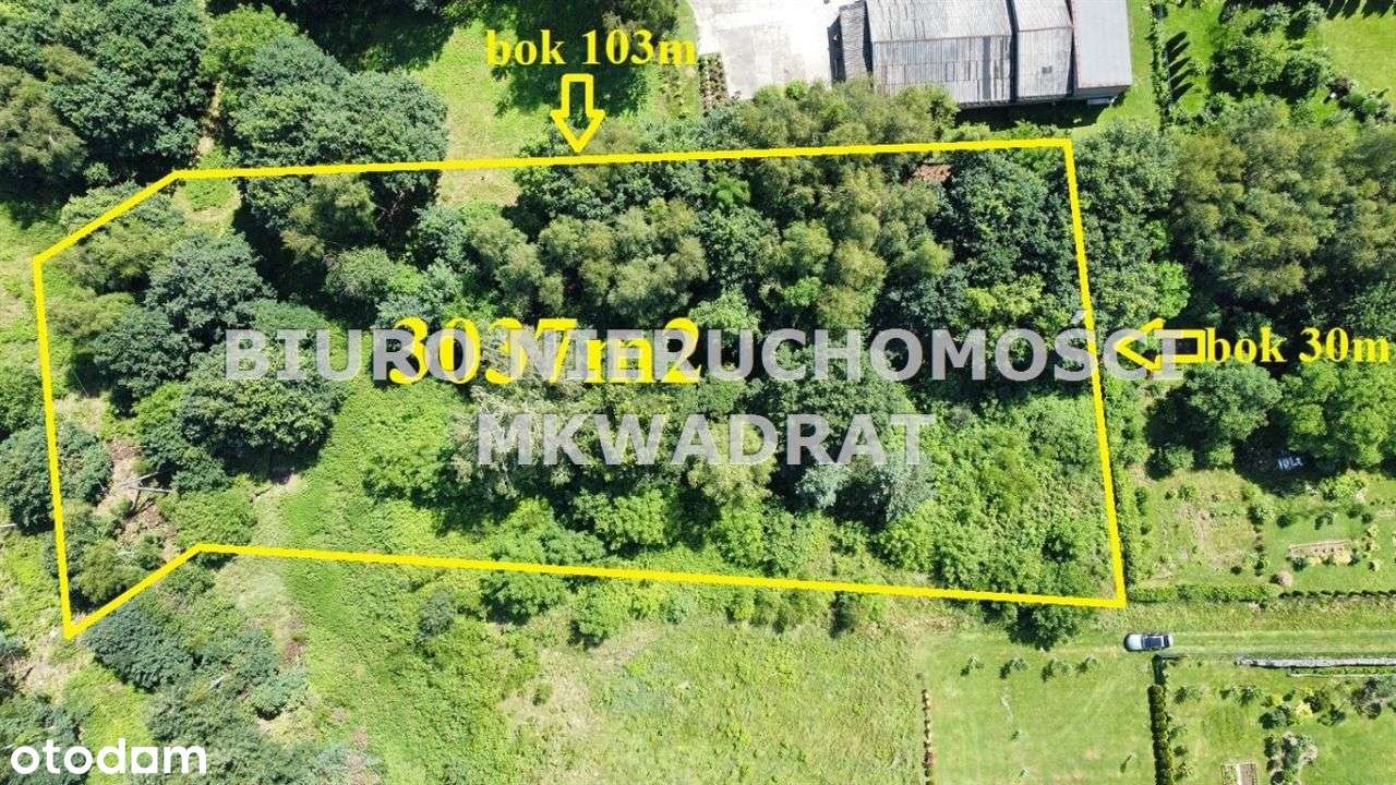 3037m2,dobra cena i spokojna okolica-0