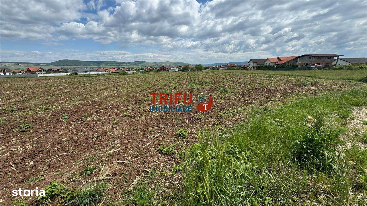 Teren Intravilan construibil de 2740 mp în Micești, Alba Iulia - Imagine principală: 3/7