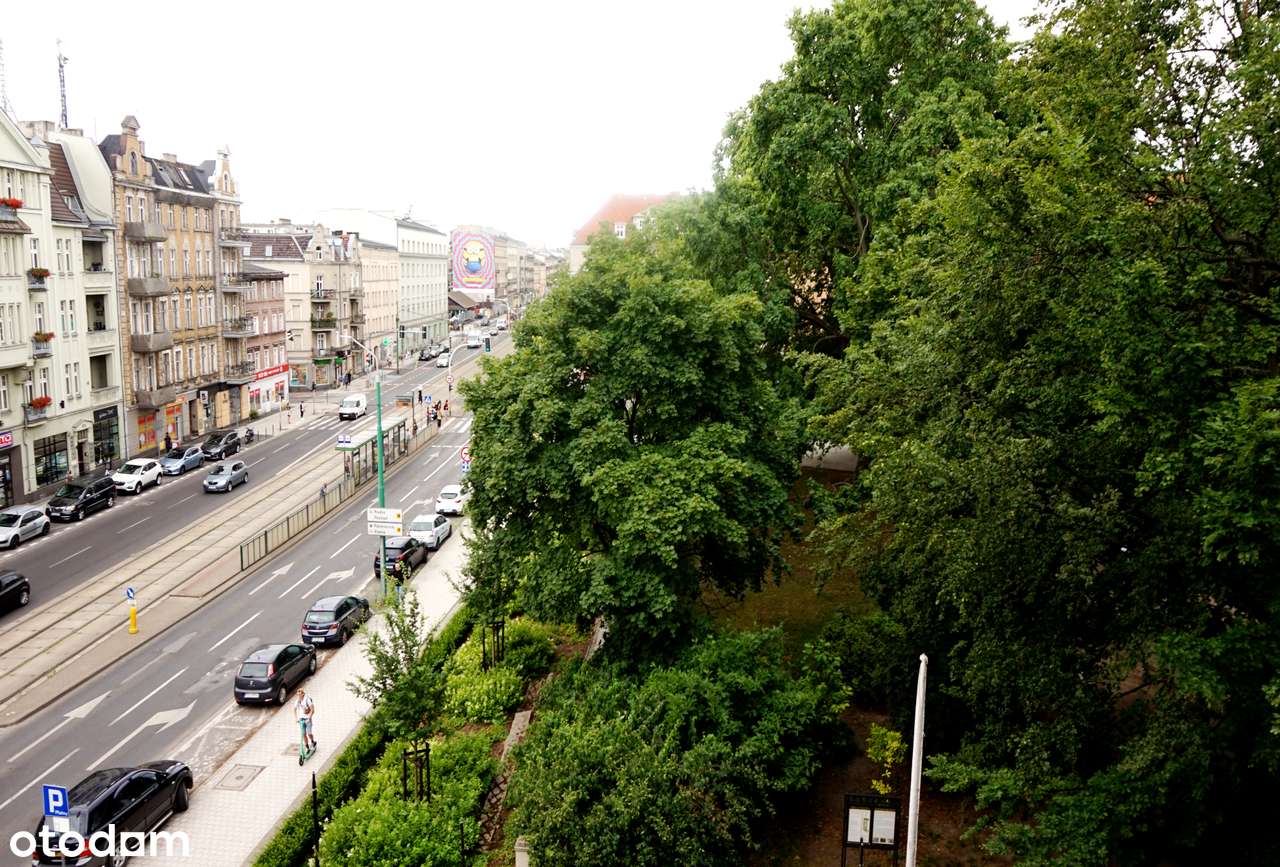 Duże mieszkanie w kamienicy obok parku.