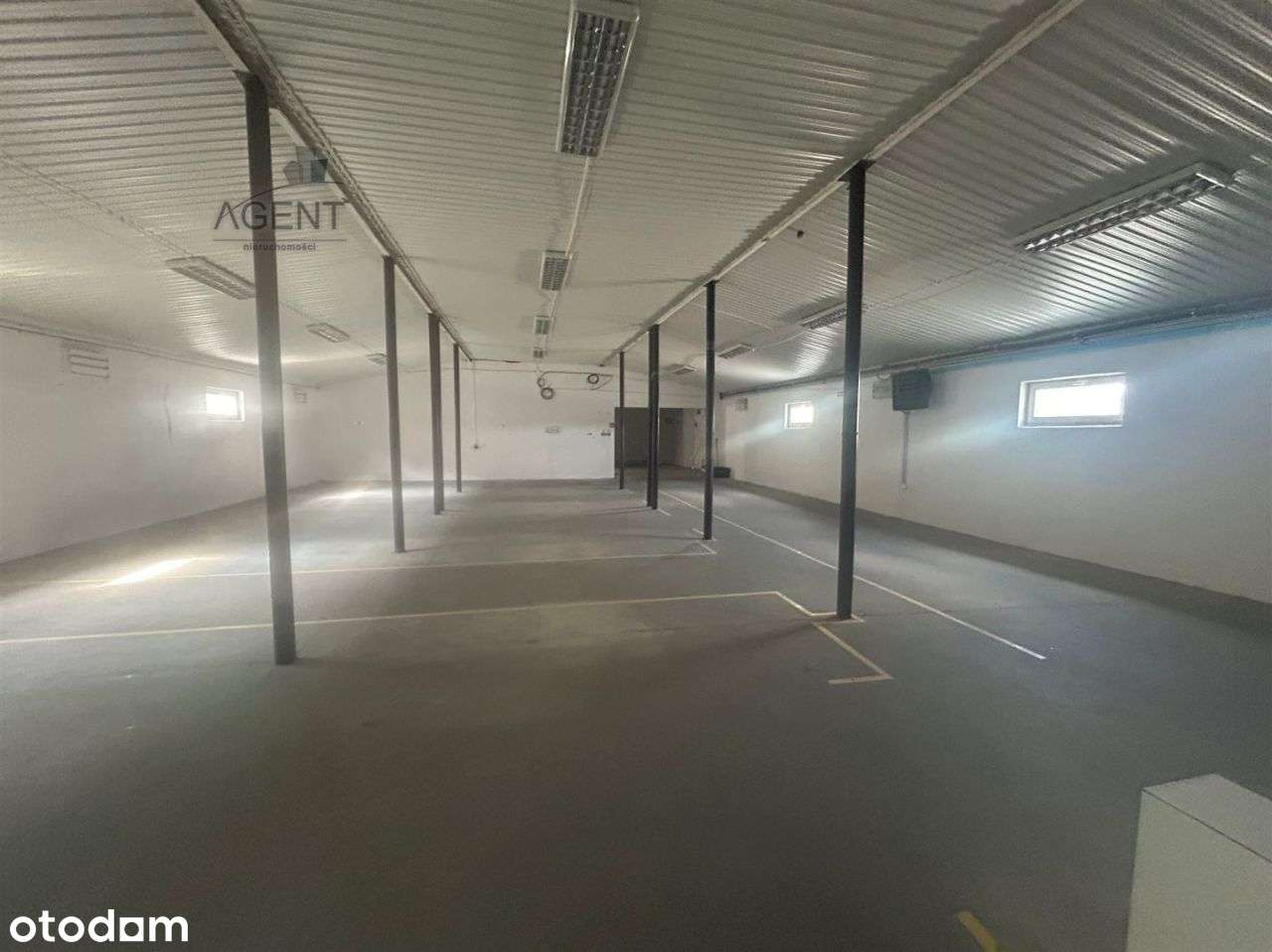 Siedziba Firmy! Biura,hale i parking! - Pełny obrazek: 5/10