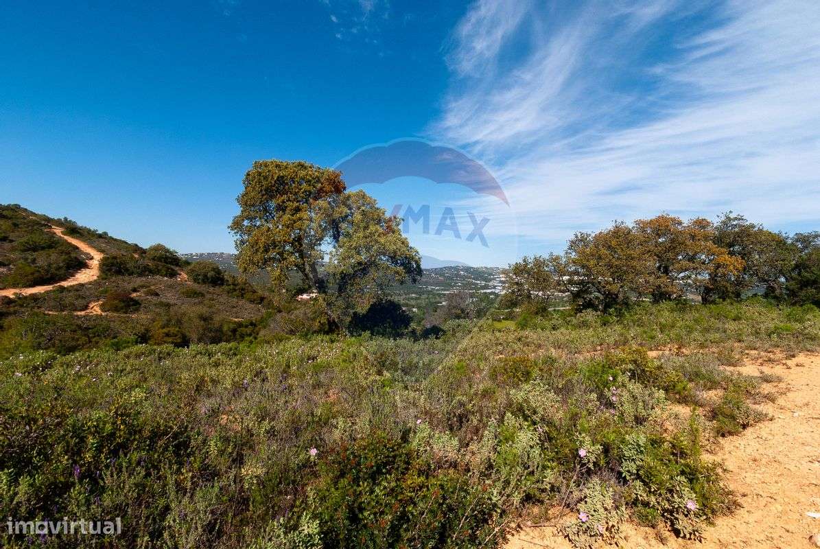 Terreno  para Venda - Grande imagem: 5/10