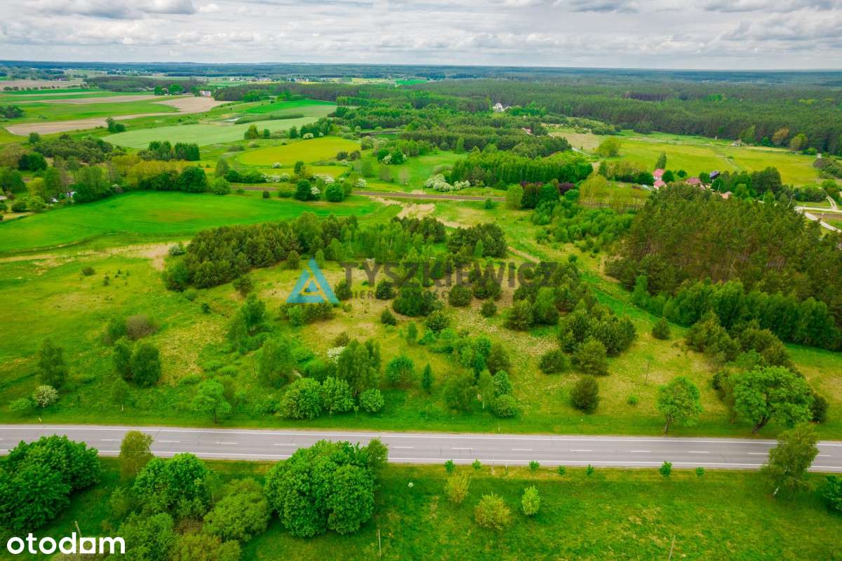 Duża działka budowlano-usługowa! - Pełny obrazek: 2/20