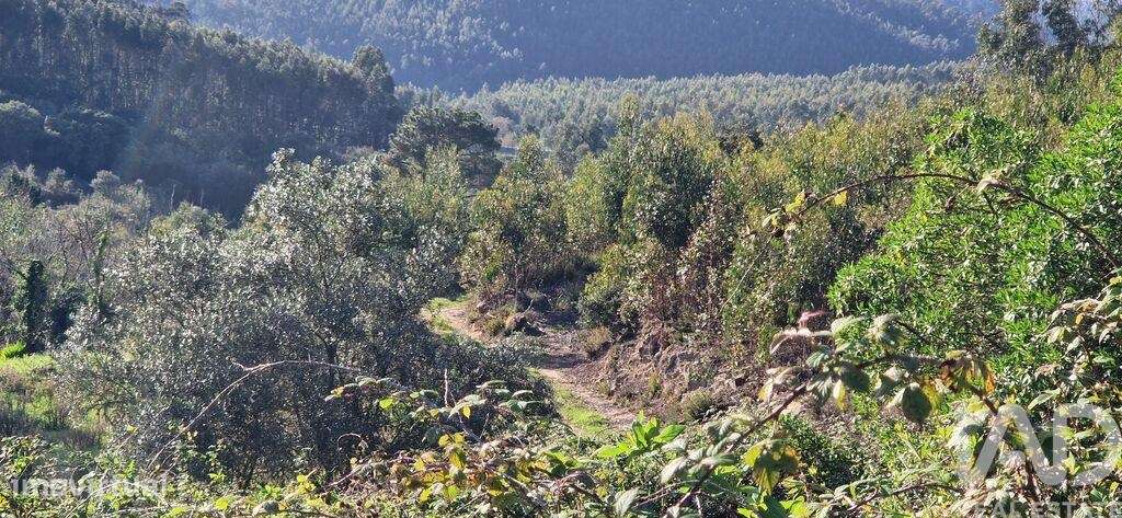 Terreno em Igreja Nova e Cheleiros de 10000,00 m2 - Grande imagem: 5/28