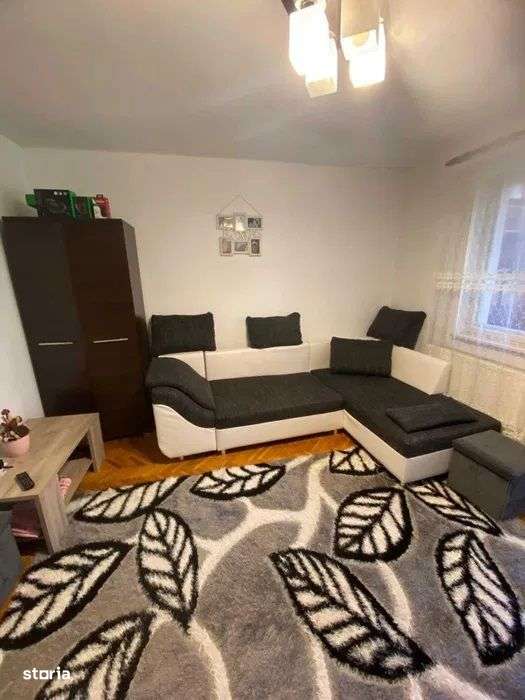 Dambu Pietros - Vanzare apartament 2 camere - Str. Godeanu - Imagine principală: 3/8
