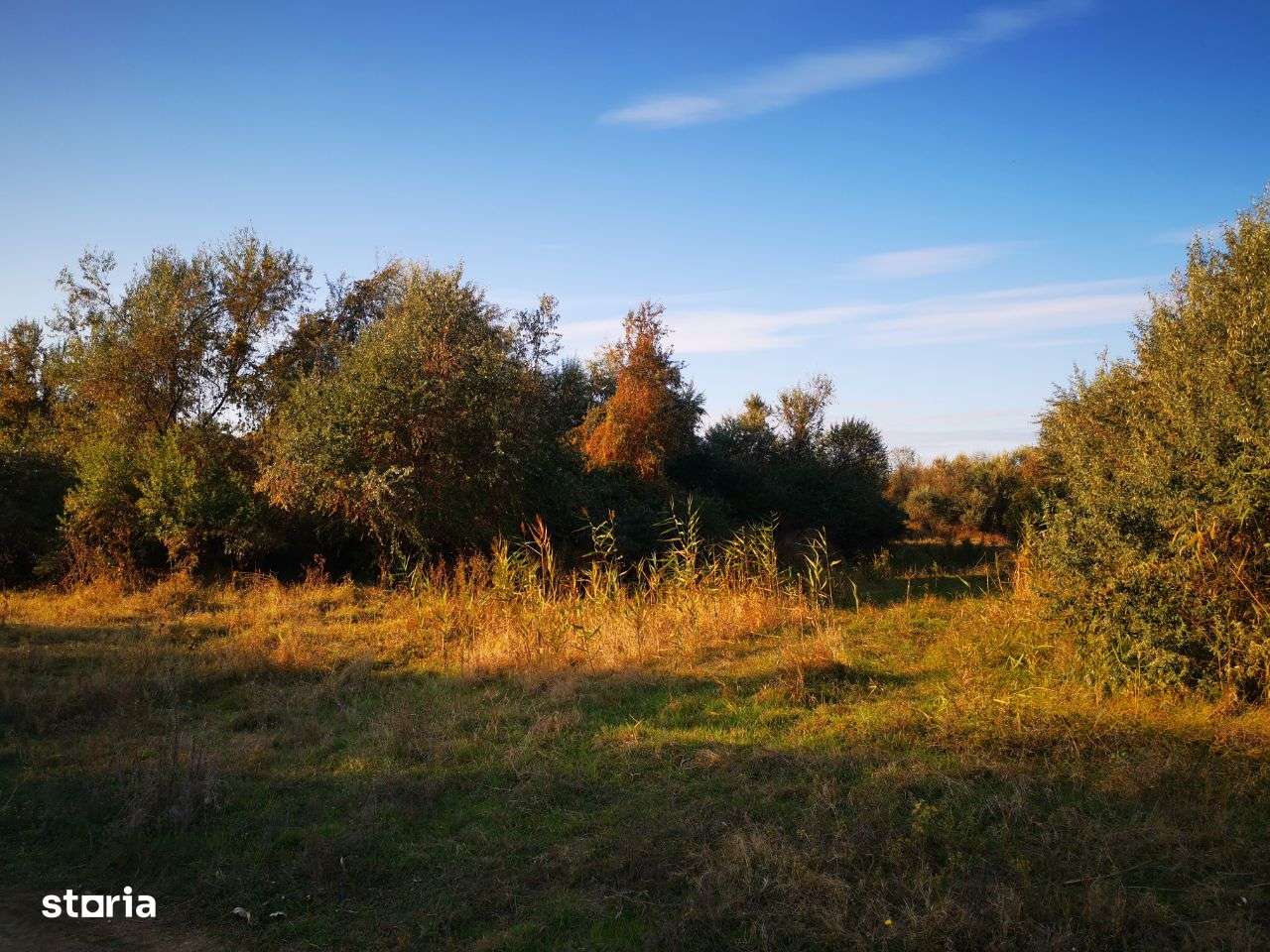 Vand 20.000 mp Delta-Tudor Vladimirescu-1