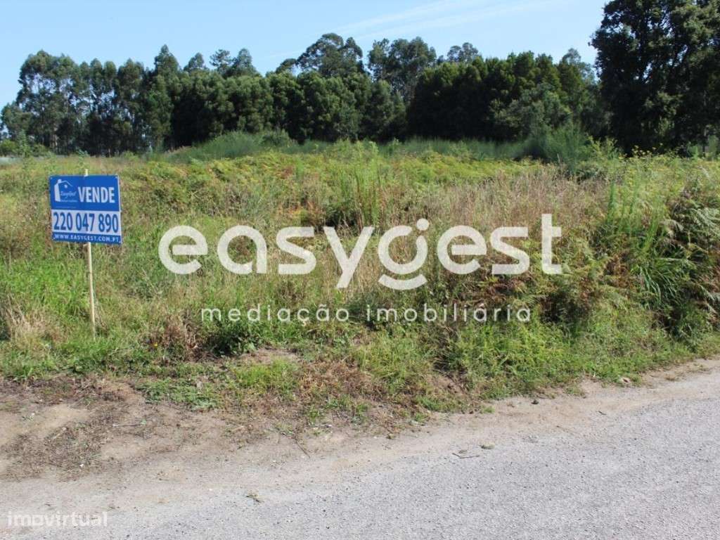 Terreno para construção - Espargo - Grande imagem: 4/5