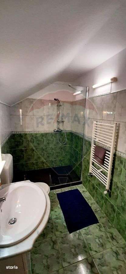 Cabana de vânzare în Valea Mănăstirii, Alba-10