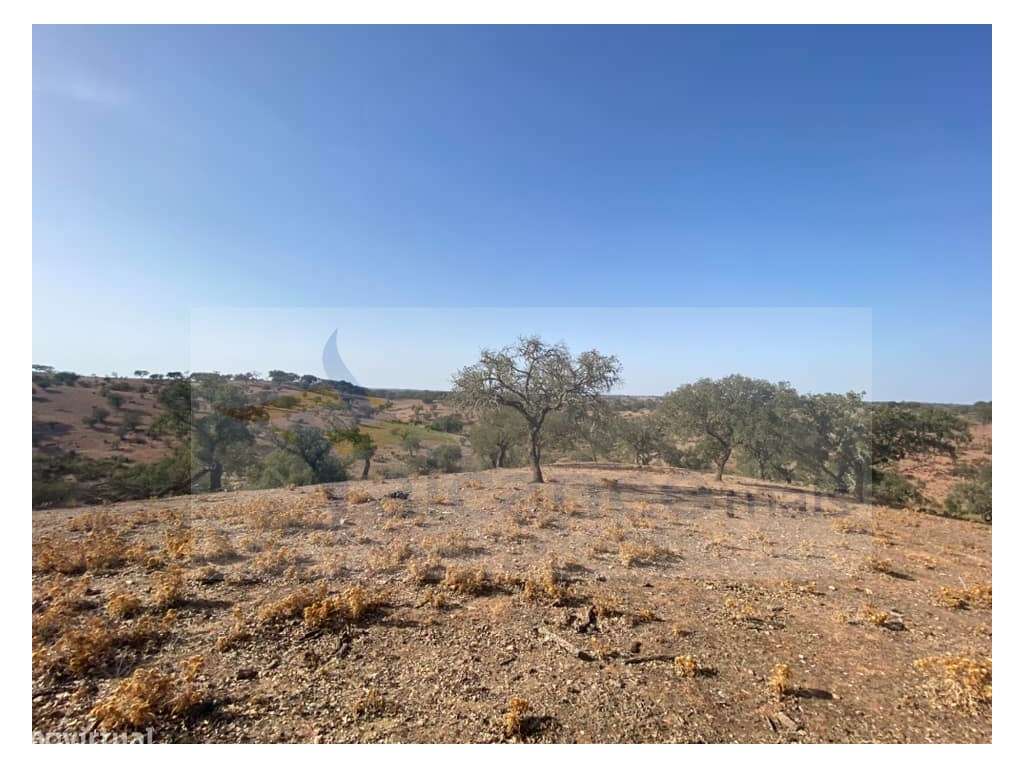 Propriedade de 35 ha - com Monte em Ruínas em Serpa-18