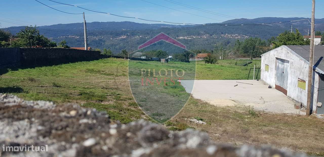 Quinta  Venda em São João da Serra,Oliveira de Frades - Grande imagem: 5/45