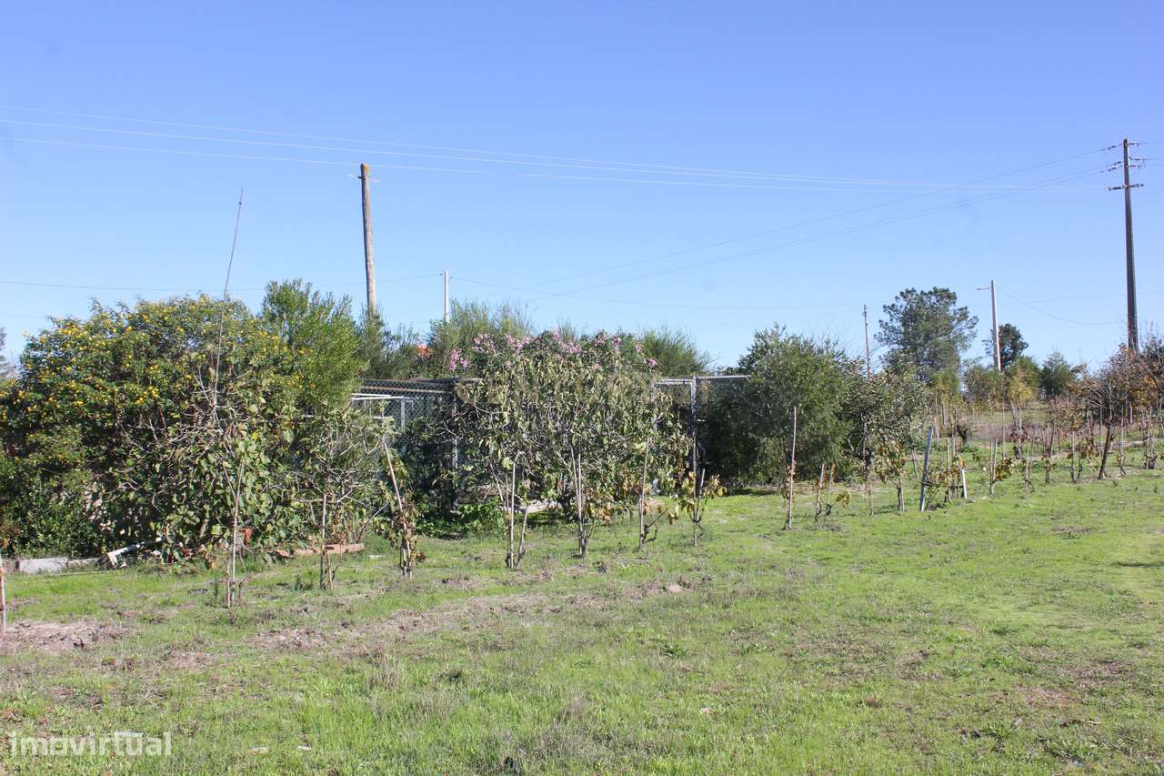 Quinta com Moradia para vender na Herdade de Almada em Foros de Almada-21